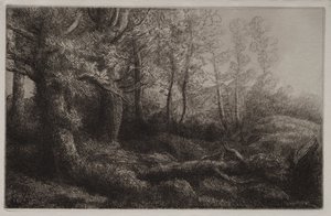 Een bosstudie door Alphonse Legros