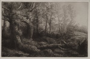 Een Bosstudie door Alphonse Legros