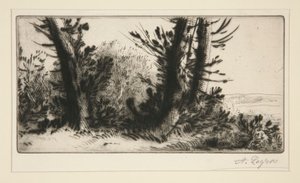 Door het veld door Alphonse Legros