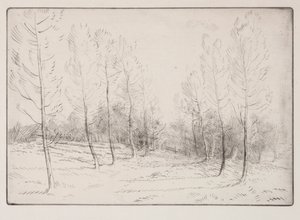 Laan van populieren door Alphonse Legros