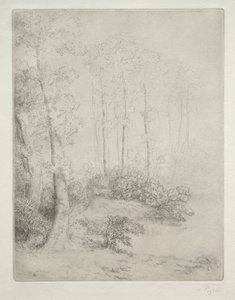 Rand van het water (Au Bord de L