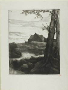 Boerderij met grote boom