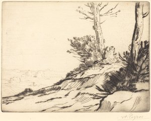 Heuvel met Struiken