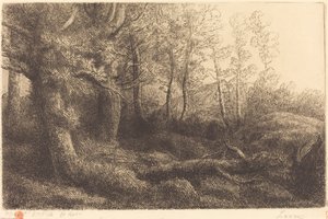 In het Bos