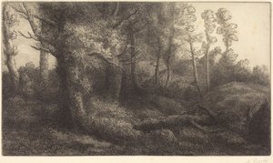  door Alphonse Legros