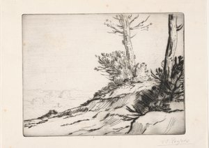 La butte aux broussailles door Alphonse Legros