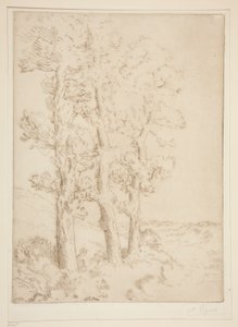 La liseuse: La lecture sous les arbres (Vrouw Leest: Les onder de Bomen) door Alphonse Legros