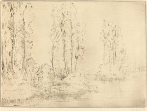 Landschap