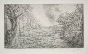 Landschap (Paysage)