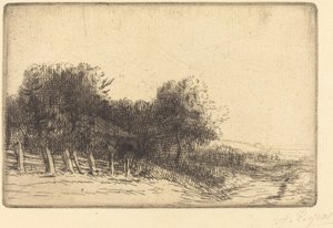 Landschap