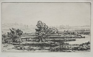 Landschap