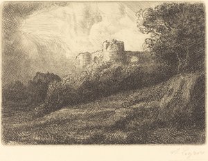 Landschap