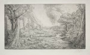 Landschap