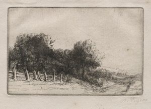 Landschap Un Paysage