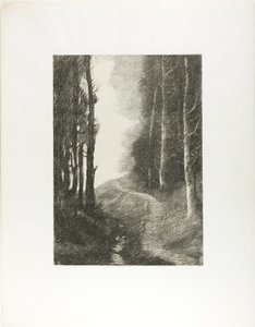 Landschap met berkenbomen door Alphonse Legros
