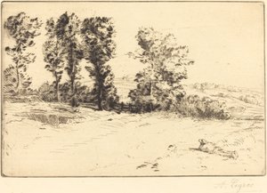 Weide in zonneschijn Le pré ensoleillé