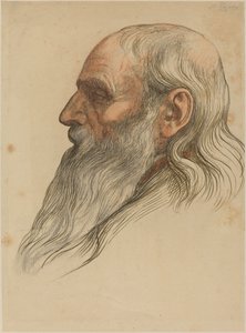 Studie van een mannenhoofd met een volle baard