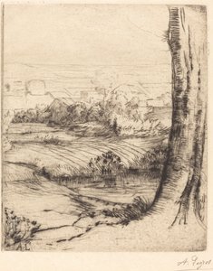 Uitzicht op riet
