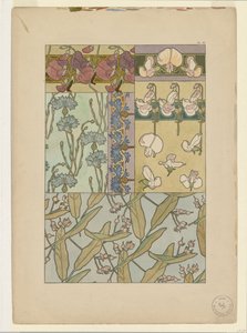 Documents Decoratifs: Lathyrus