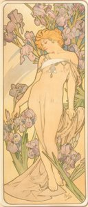 De iris