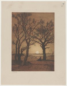 Landschap met schapen bij zonsondergang