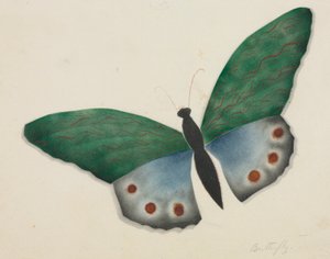 Vlinder (aquarel) door Altha Mary Nims