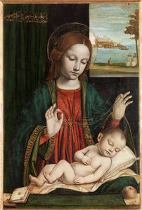 Madonna en slapend kind (Madonna van de sluier)