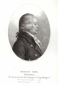 Martin Vahl