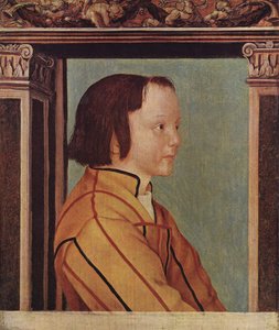 Jongen met bruin haar