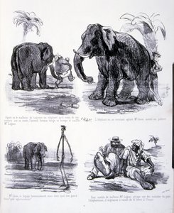 Illustratie voor De kunst van het vetmesten en afvallen door Amédée de Noé
