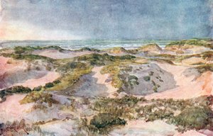 Een stormachtige avond: De duinen (kleurenlitho) door Amedee (after) Forestier