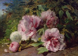 Studie van Pioenen, 1874