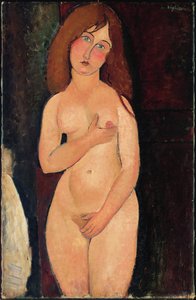 Venus of Staande Naakt of Naakt Medici