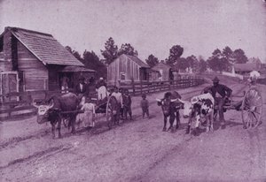 Een dorpsscène van gelukkige tevredenheid in Virginia door American Photographer (after)