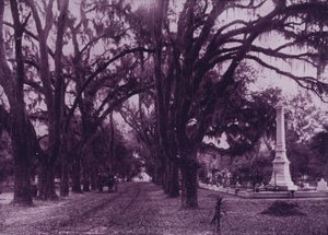 Bonaventure Cemetery, Savannah, Georgia door American Photographer (after)