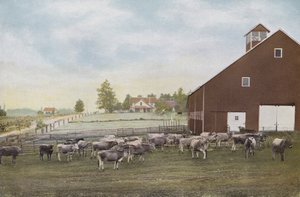 Oregon: Melkveebedrijf in Willamette Valley