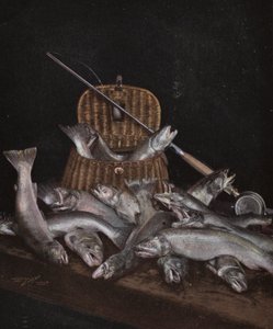 Oregon: Vissen