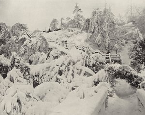 Winterloof op Luna Island (zwart-wit foto)