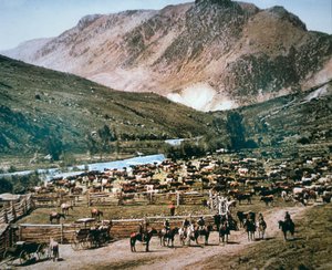Veeboerderij, Colorado