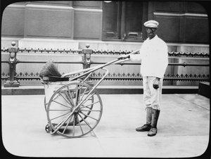 Stadsstraatreiniger, Philadelphia, c.1920 door American Photographer