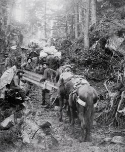 Beklimming van de Dyea Trail op Weg naar de Chilkoot Pass tijdens de Klondike Gold Rush (1897-98) door American Photographer