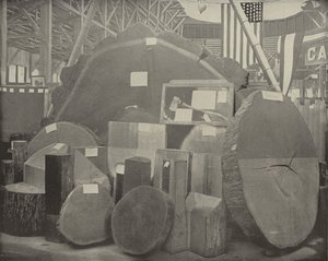 Gladstones Bijl