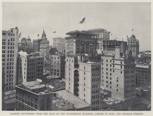 Kijkend naar het zuidwesten vanaf het dak van het Woodbridge Building, hoek van John en William Streets door American Photographer