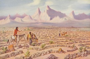 Mystiek doolhof van de Mojave-indianen, bij Needles, Californië (ingekleurde foto) door American Photographer