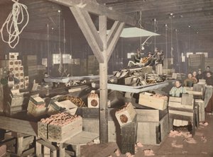 Sinaasappelverpakking in Redlands, gepubliceerd 1899 (foto) door American Photographer