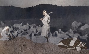 Palestijnse herders kijken 
