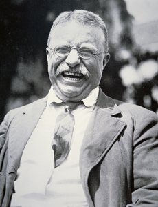 President Theodore Roosevelt, ca. 1917
