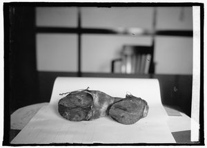 Prohibition Unit (Koeien Schoenen), 28 juni 1924