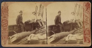 Haaien gevangen op Barbados, West-Indië (zwart-wit foto) door American Photographer