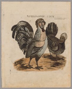 Een Filosofische Haan, 1804 door American School